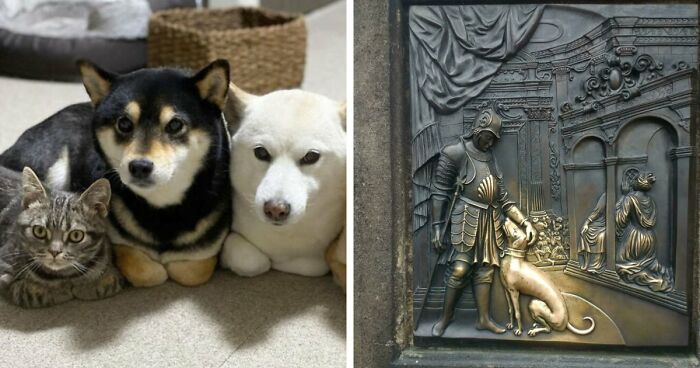 “Blessed Images”: 117 Soul-Healing Posts Full Of Positivity To Make Your Day A Little Better