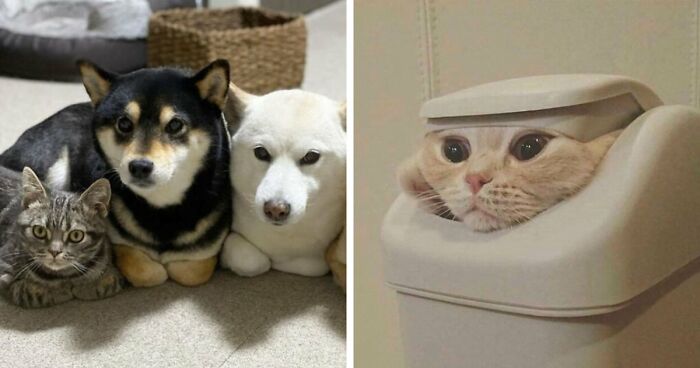 “Blessed Images”: 117 Soul-Healing Posts Full Of Positivity To Make Your Day A Little Better