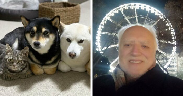 “Blessed Images”: 117 Soul-Healing Posts Full Of Positivity To Make Your Day A Little Better