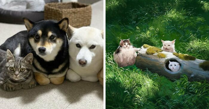 “Blessed Images”: 117 Soul-Healing Posts Full Of Positivity To Make Your Day A Little Better