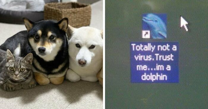 “Blessed Images”: 117 Soul-Healing Posts Full Of Positivity To Make Your Day A Little Better