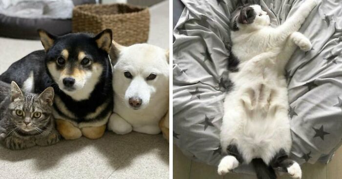 “Blessed Images”: 117 Soul-Healing Posts Full Of Positivity To Make Your Day A Little Better