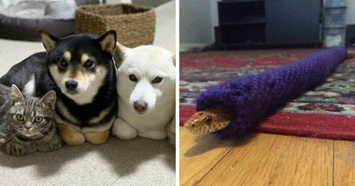 “Blessed Images”: 117 Soul-Healing Posts Full Of Positivity To Make Your Day A Little Better