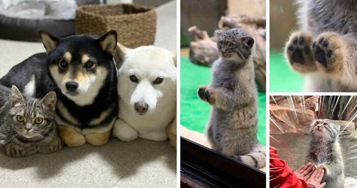 “Blessed Images”: 117 Soul-Healing Posts Full Of Positivity To Make Your Day A Little Better