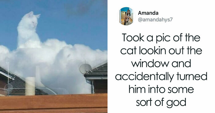“Blessed Images”: 117 Soul-Healing Posts Full Of Positivity To Make Your Day A Little Better