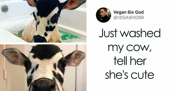 “Blessed Images”: 117 Soul-Healing Posts Full Of Positivity To Make Your Day A Little Better