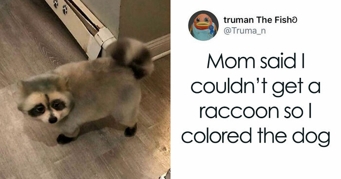 “Blessed Images”: 117 Soul-Healing Posts Full Of Positivity To Make Your Day A Little Better
