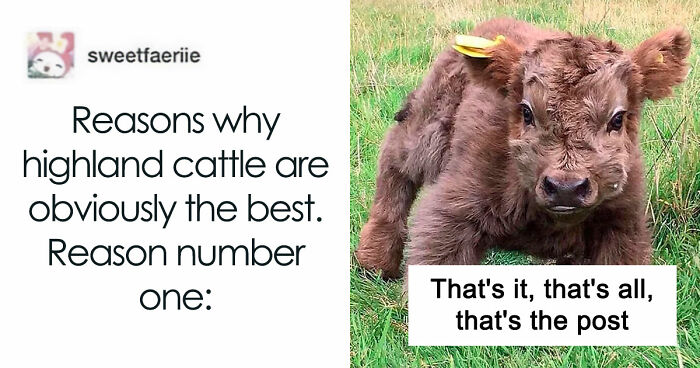 “Blessed Images”: 117 Soul-Healing Posts Full Of Positivity To Make Your Day A Little Better