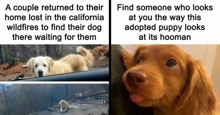 “Blessed Images”: 117 Soul-Healing Posts Full Of Positivity To Make Your Day A Little Better