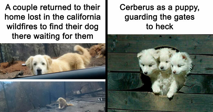 “Blessed Images”: 117 Soul-Healing Posts Full Of Positivity To Make Your Day A Little Better