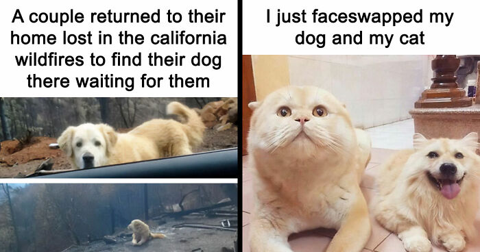 “Blessed Images”: 117 Soul-Healing Posts Full Of Positivity To Make Your Day A Little Better
