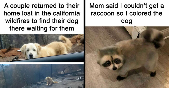 “Blessed Images”: 117 Soul-Healing Posts Full Of Positivity To Make Your Day A Little Better