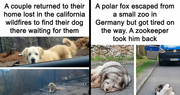 “Blessed Images”: 117 Soul-Healing Posts Full Of Positivity To Make Your Day A Little Better