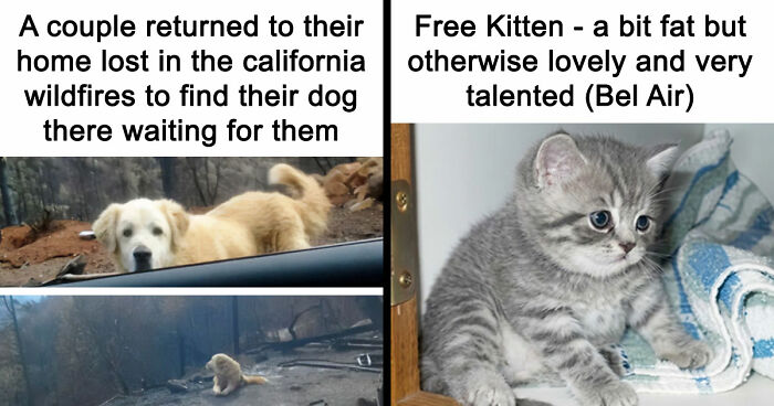 “Blessed Images”: 117 Soul-Healing Posts Full Of Positivity To Make Your Day A Little Better