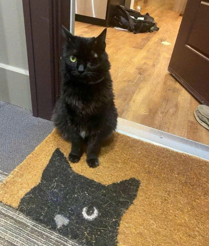 Black cat sitting on doormat with black cat face design