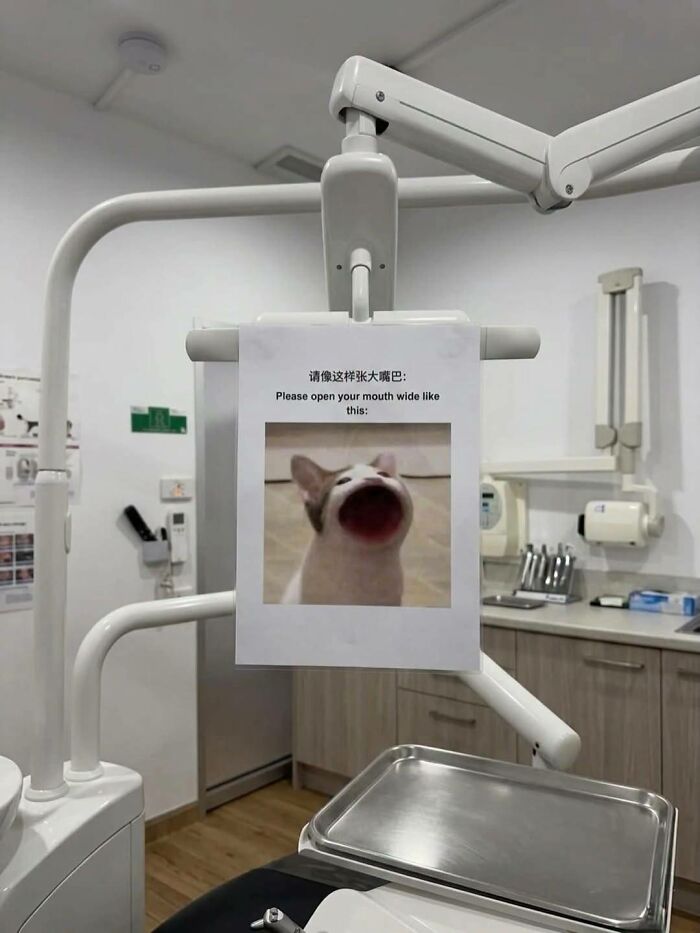 Dental office sign with cat photo asking to open mouth wide