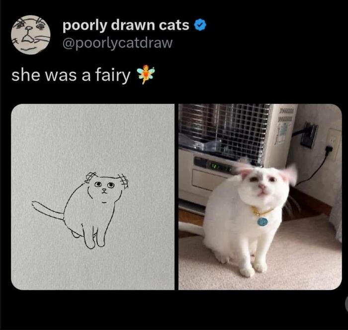 Poorly drawn cat meme with photo of white cat shaking head