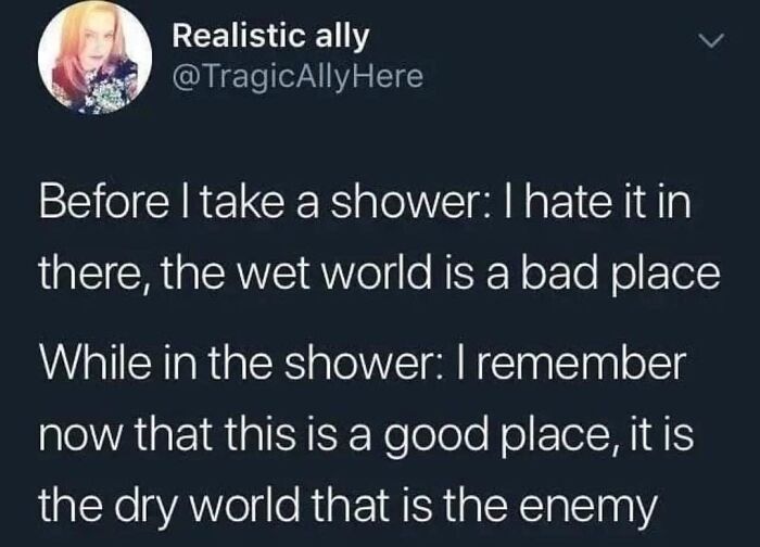 Tweet about shower perspective on wet and dry worlds meme