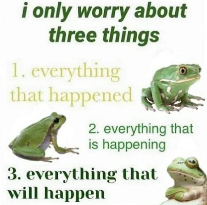 Funny meme with frogs about worrying about past present and future