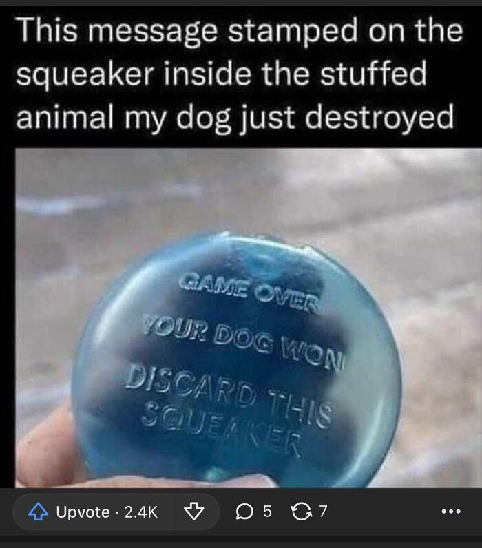 Stuffed animal squeaker with game over message dog destroyed meme