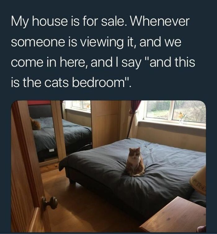 Meme about showing the cat's bedroom during house sale