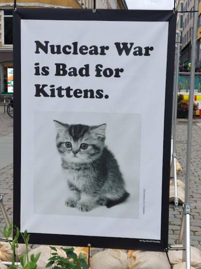 Sign stating nuclear war is bad for kittens with cute kitten photo