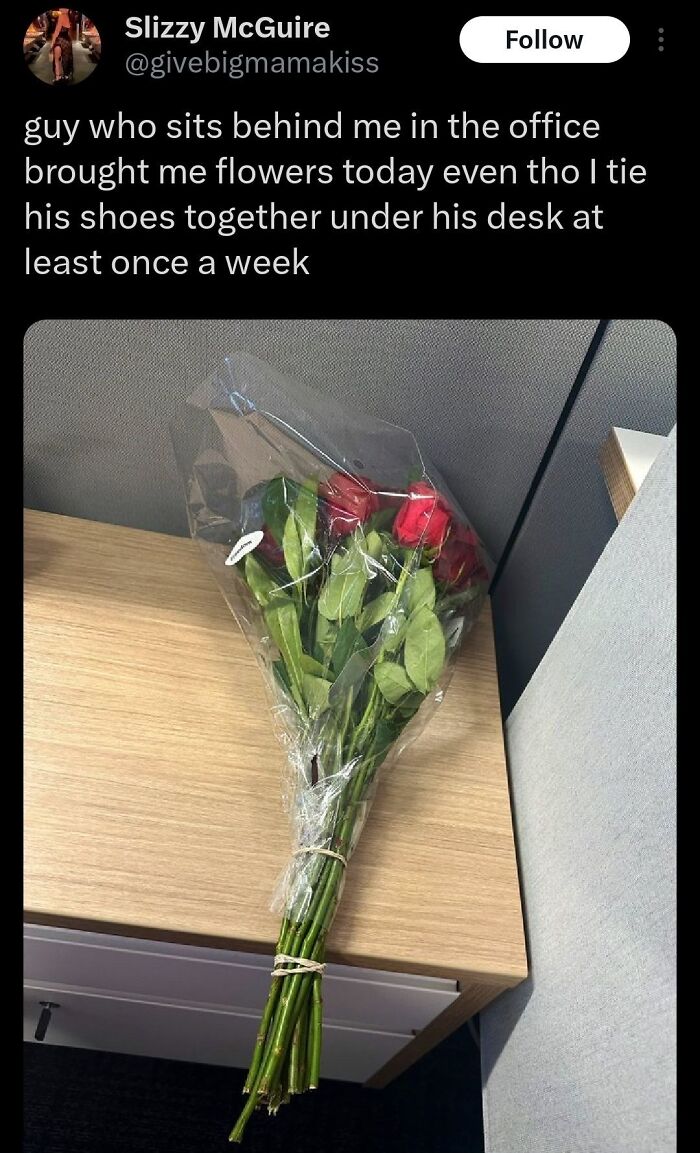 Office meme with flowers and tied shoes prank