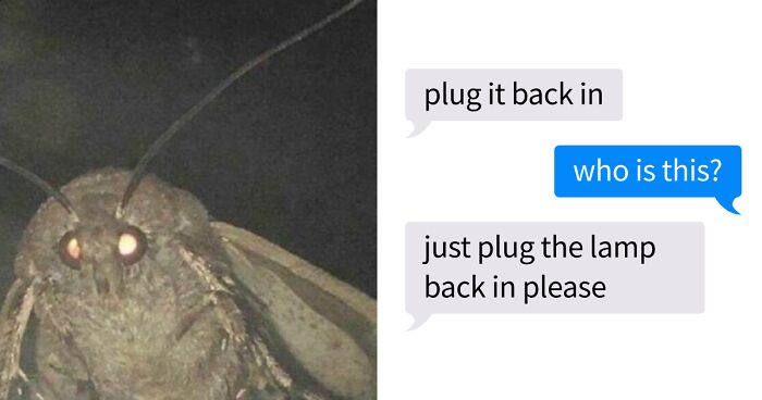 67 Funny Text Exchanges That Might Be The Reason You Laugh Today (New Pics)