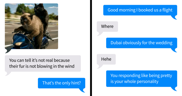 67 Funny Text Exchanges That Might Be The Reason You Laugh Today (New Pics)