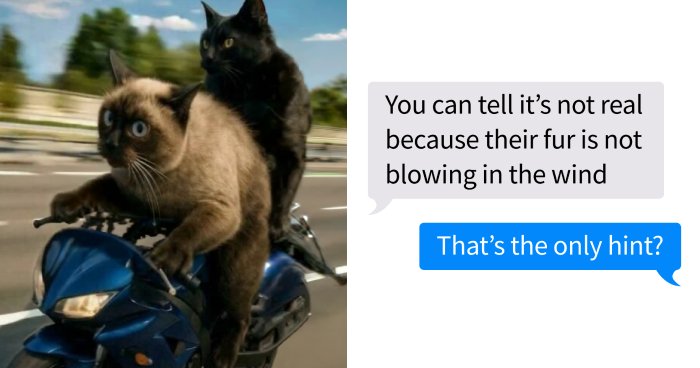67 Funny Text Exchanges That Might Be The Reason You Laugh Today (New Pics)