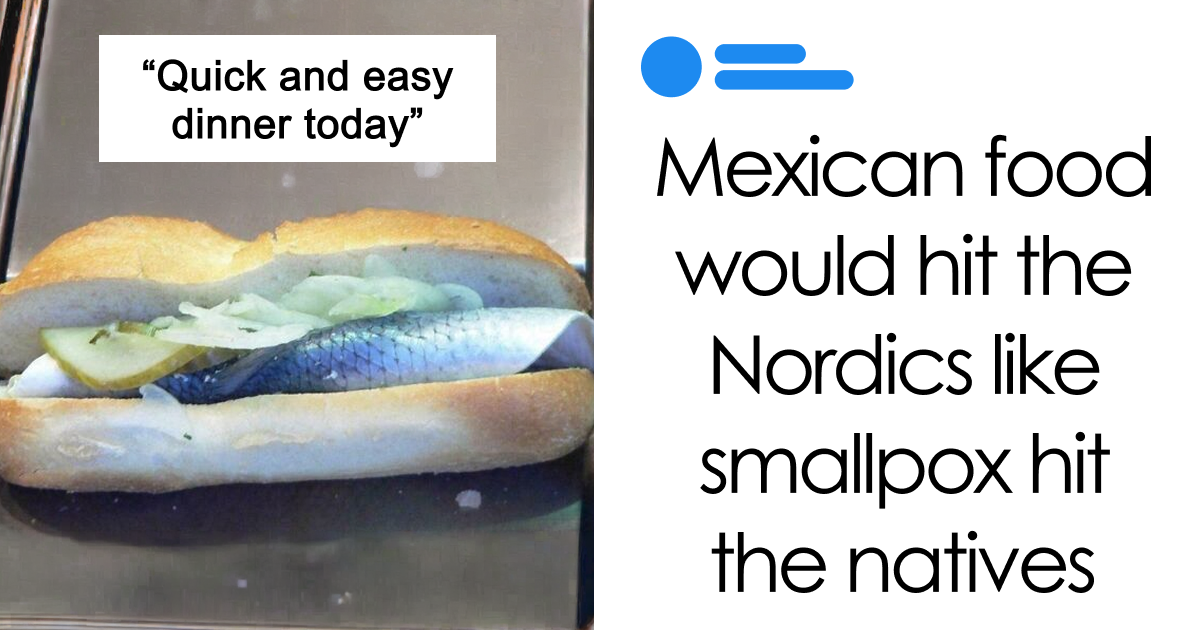 News image for article ScikitLLM vs. Traditional Text Classifiers When Should You Use an LLM?