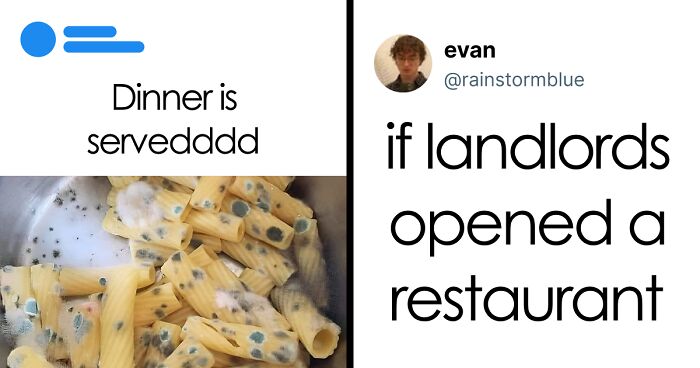 People Are Roasting These 53 Disgusting Dishes Because They Deserve To Be Incinerated