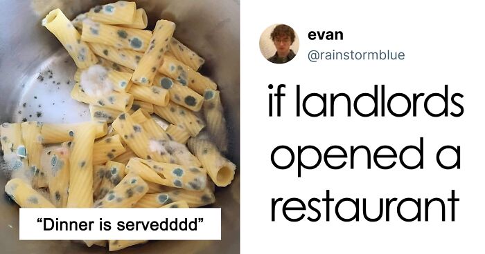 People Are Roasting These 53 Disgusting Dishes Because They Deserve To Be Incinerated
