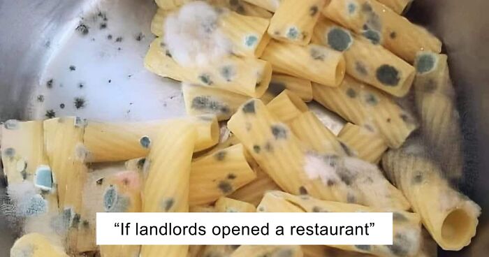 People Are Roasting These 53 Disgusting Dishes Because They Deserve To Be Incinerated