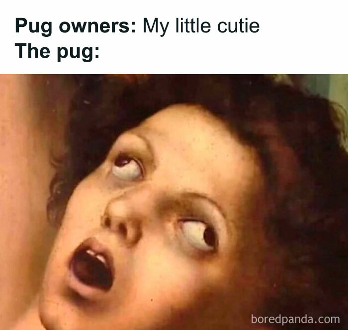 Classical painting of a shocked face used in pug owners meme