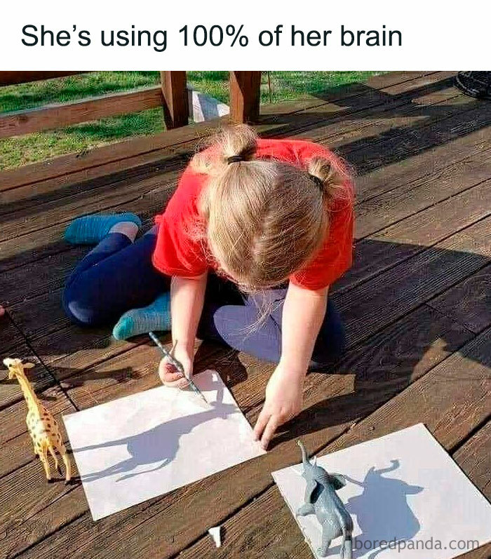 Child tracing shadows of animal toys in funny random memes