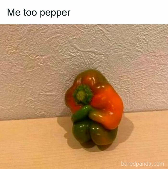 Unusual multi-colored bell pepper resembling a person hugging meme
