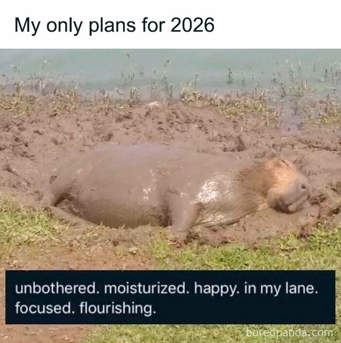 Capybara covered in mud with text about plans for 2022 and self-care