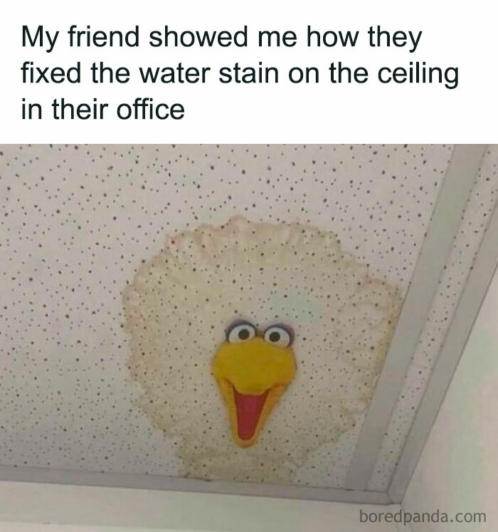 Funny random meme water stain ceiling fixed with Big Bird decoration