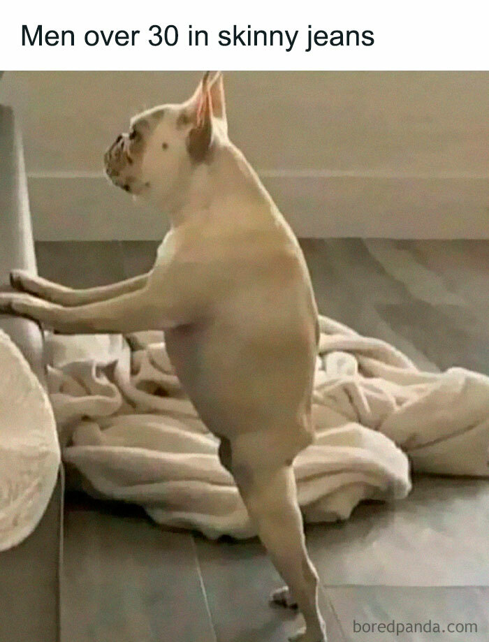 Funny image of a dog standing on hind legs titled men over 30 in skinny jeans