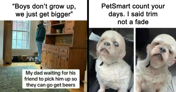 121 Random Memes That Make Absolutely No Sense But Are Still Somehow Funny