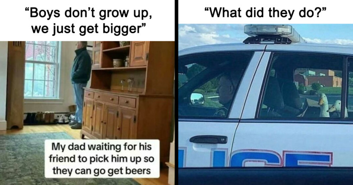 121 Random Memes That Make Absolutely No Sense But Are Still Somehow Funny