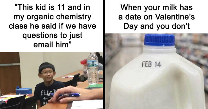 121 Random Memes That Make Absolutely No Sense But Are Still Somehow Funny