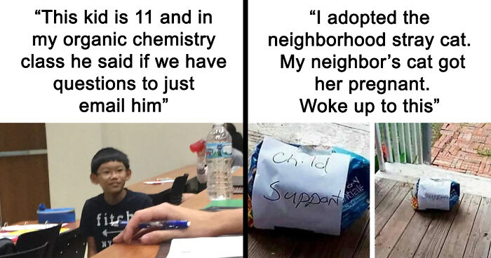 121 Random Memes That Make Absolutely No Sense But Are Still Somehow Funny