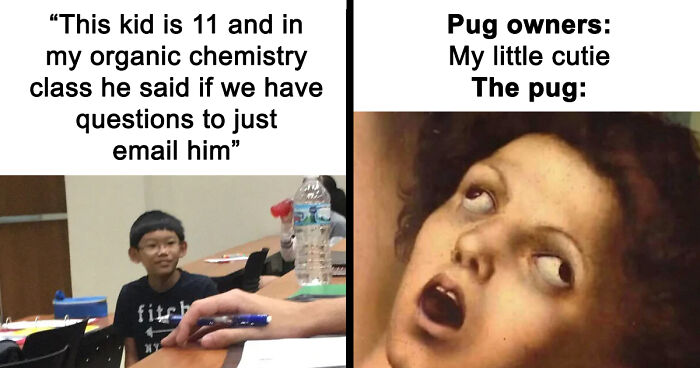 121 Random Memes That Make Absolutely No Sense But Are Still Somehow Funny