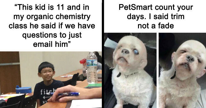 121 Random Memes That Make Absolutely No Sense But Are Still Somehow Funny