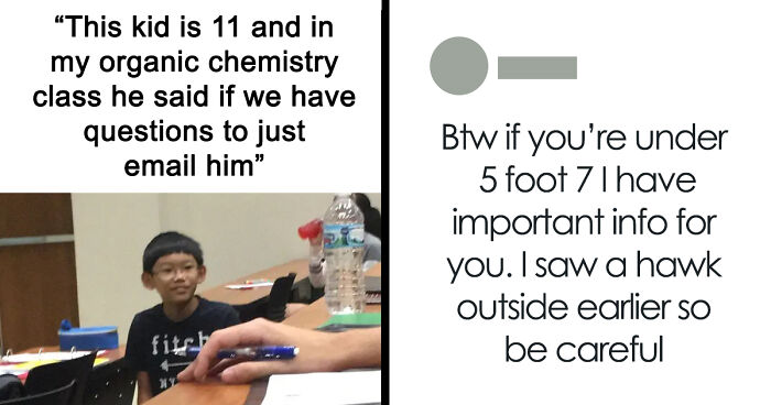 121 Random Memes That Make Absolutely No Sense But Are Still Somehow Funny