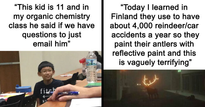 121 Random Memes That Make Absolutely No Sense But Are Still Somehow Funny