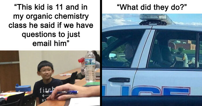121 Random Memes That Make Absolutely No Sense But Are Still Somehow Funny