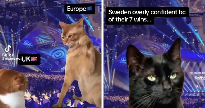 World Ruthlessly Mocks Eurovision Final Marked By Scandal, Blunders And A Surprising Winner